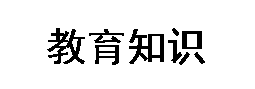 天美包装
